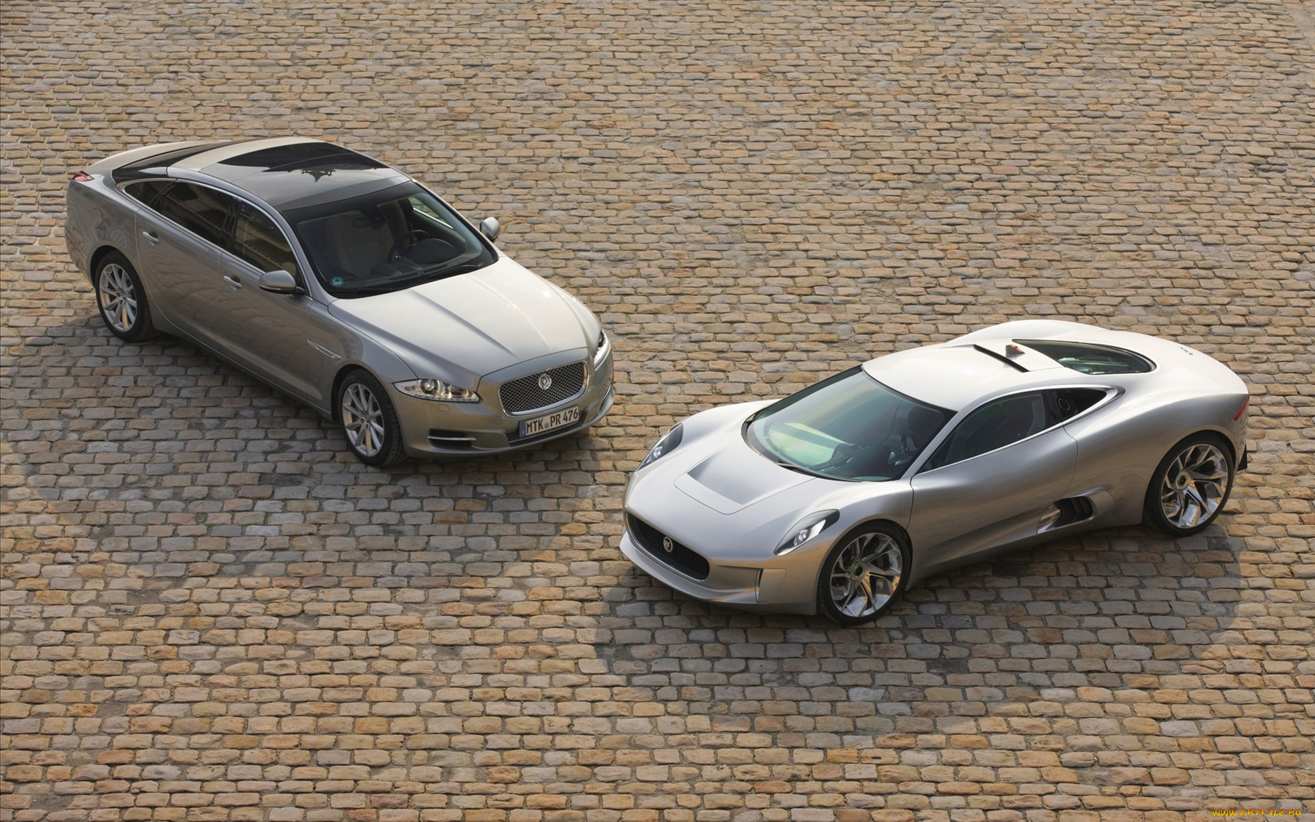 , jaguar